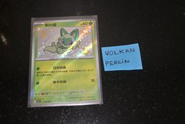 Poussacha (CBB1C 01) Chinese