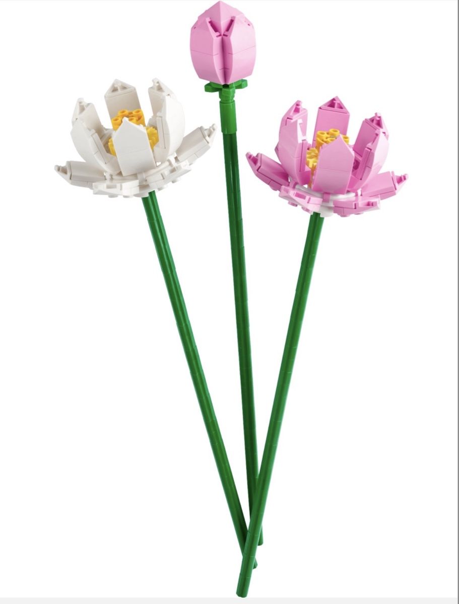 Lego Kit di costruzioni: Lego Blumen – Usato da Remigen venduto da Celeva