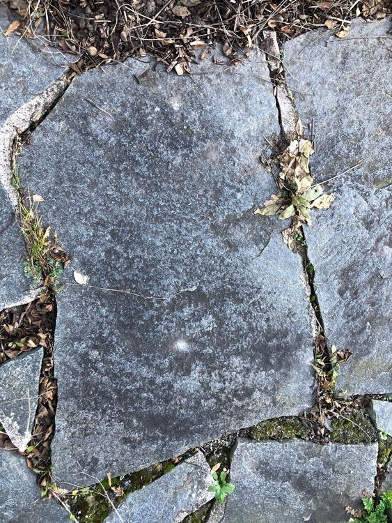 Steinplatten für Garten Kaufen auf Ricardo
