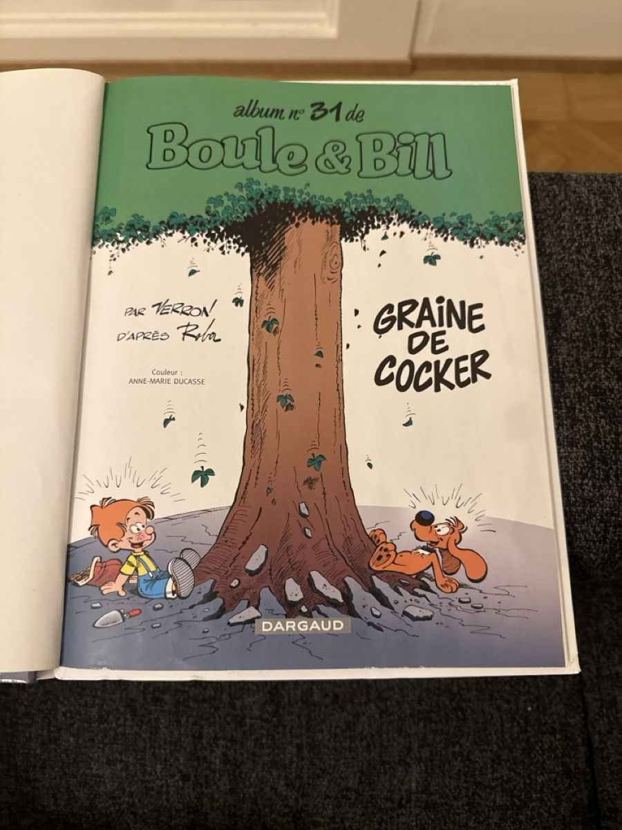 Fumetti: BD BOULE & BILL - TOME 31 - PREMIÈRE ÉDITION 2007 – Nuovo (secondo la descrizione) da Genève venduto da Emorejac 1