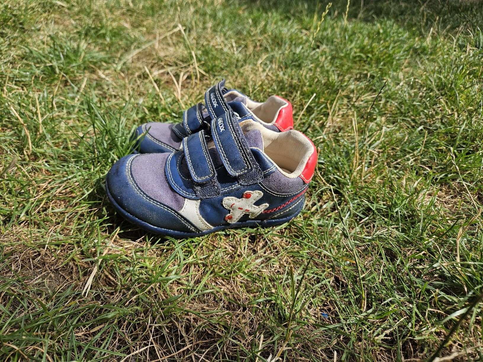 Geox Scarpe per ragazzi: Kinderschuhe GEOX Grösse 24 blau  – Usato da Ermensee venduto da cristi89