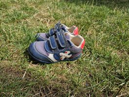 Kinderschuhe GEOX Grösse 24 blau 
