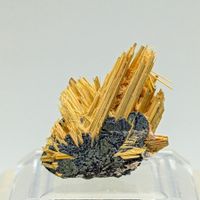 Goldenes RUTIL, eingefasst in glänzendem HÄMATIT, Brasilien