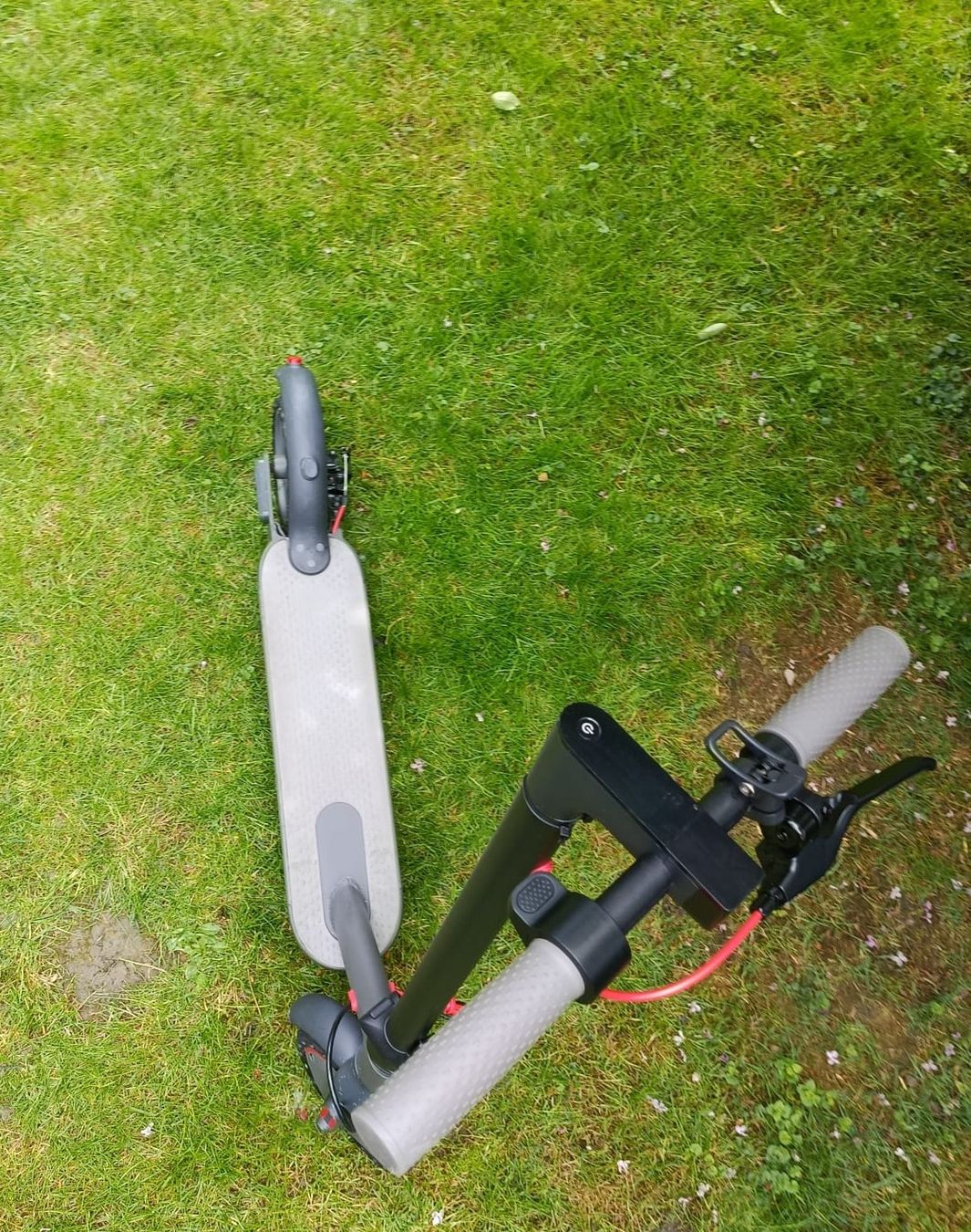 Scooter: E-Scooter – Usato da Oberriet SG venduto da Allanhurst 6