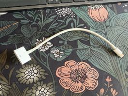 Apple Lightning auf Dock Adapter