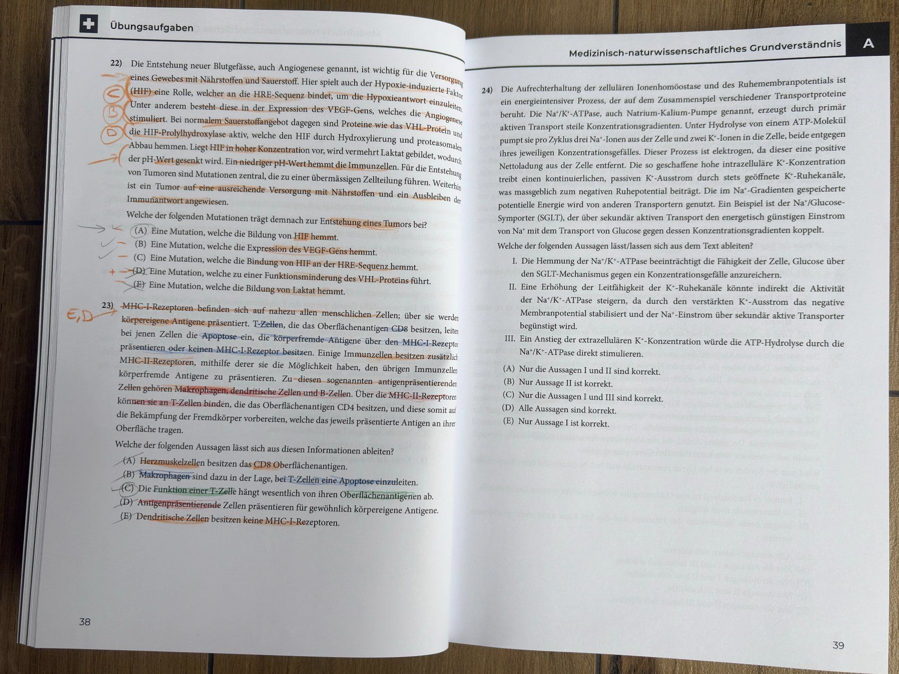 Libri: EMS-Coaches Gesamtpaket 2026 + Generalsimulation VI – Usato da Bettlach venduto da 73Ric 2