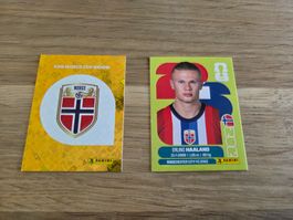 Panini WM Haaland