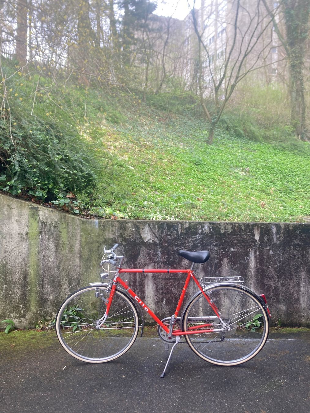 Cilo Biciclette: Cilo Cityvelo – Usato da Zürich venduto da lil_tqy8