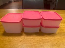 Tupperware Gefrierbehälter Set 5-teilig