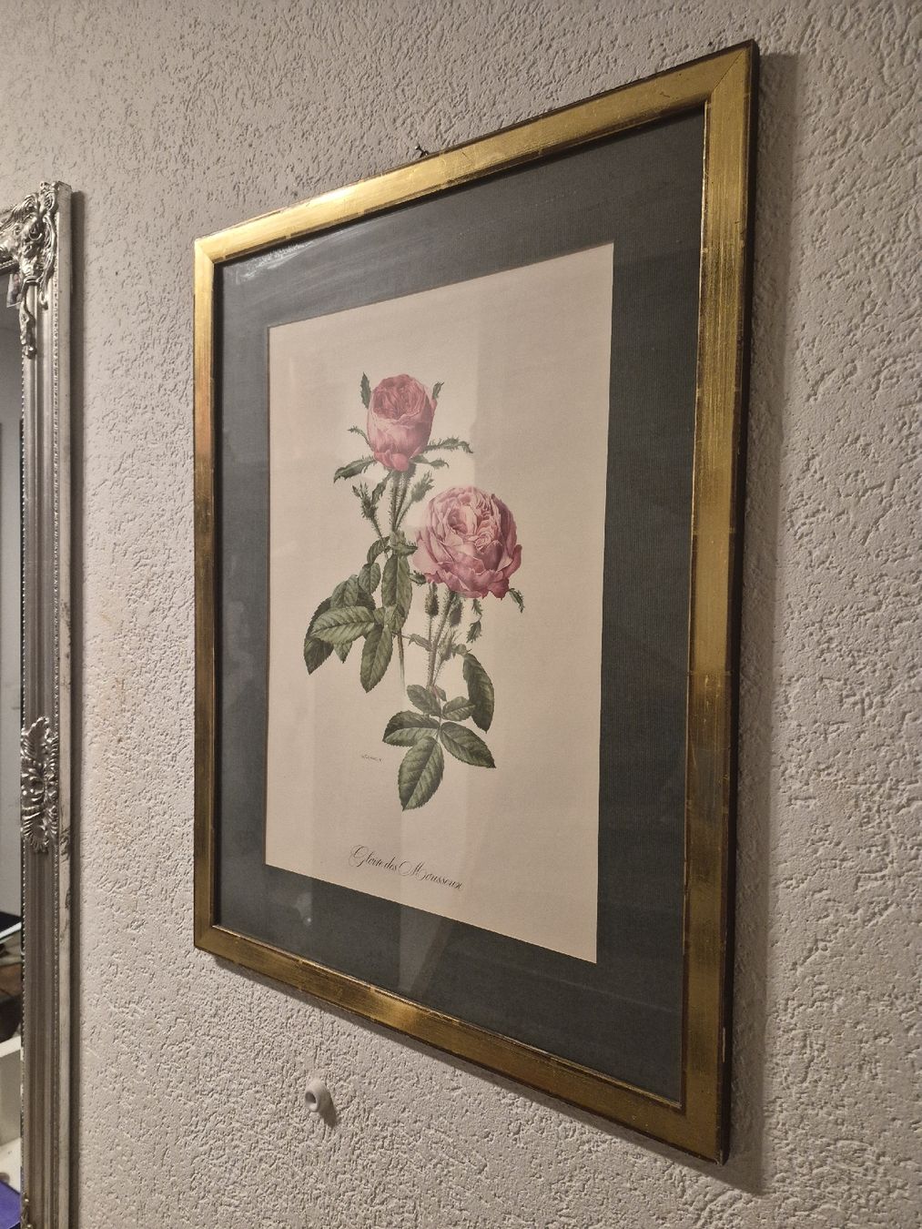 Grafica & Litografie: Wunderschöne Rosen-Lithographie, gerahmt,  gross! – Usato da Frauenfeld venduto da mel_2gqy 1