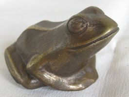 Bag Turgi Frosch, Bronze