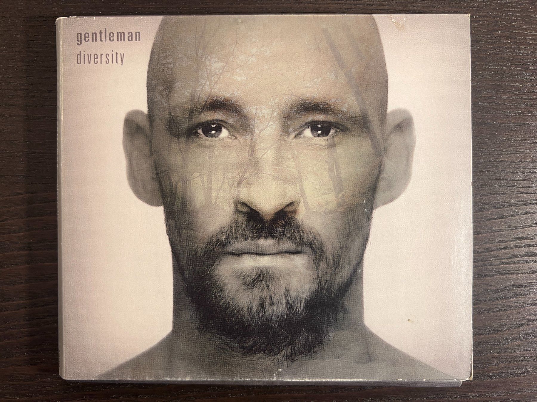 CD: Gentleman - Diversity – Usato da Zürich venduto da MusikFreunde