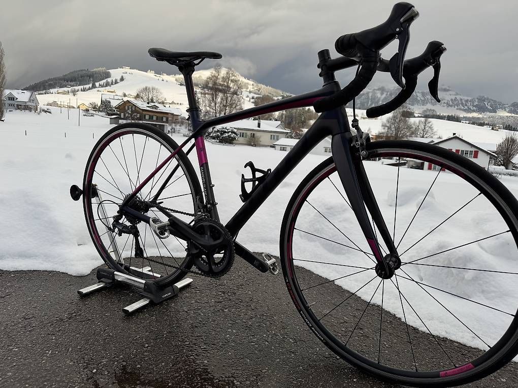 Scott Solace 5 contessa Rennrad für Damen (D'occasion) à Appenzell ...