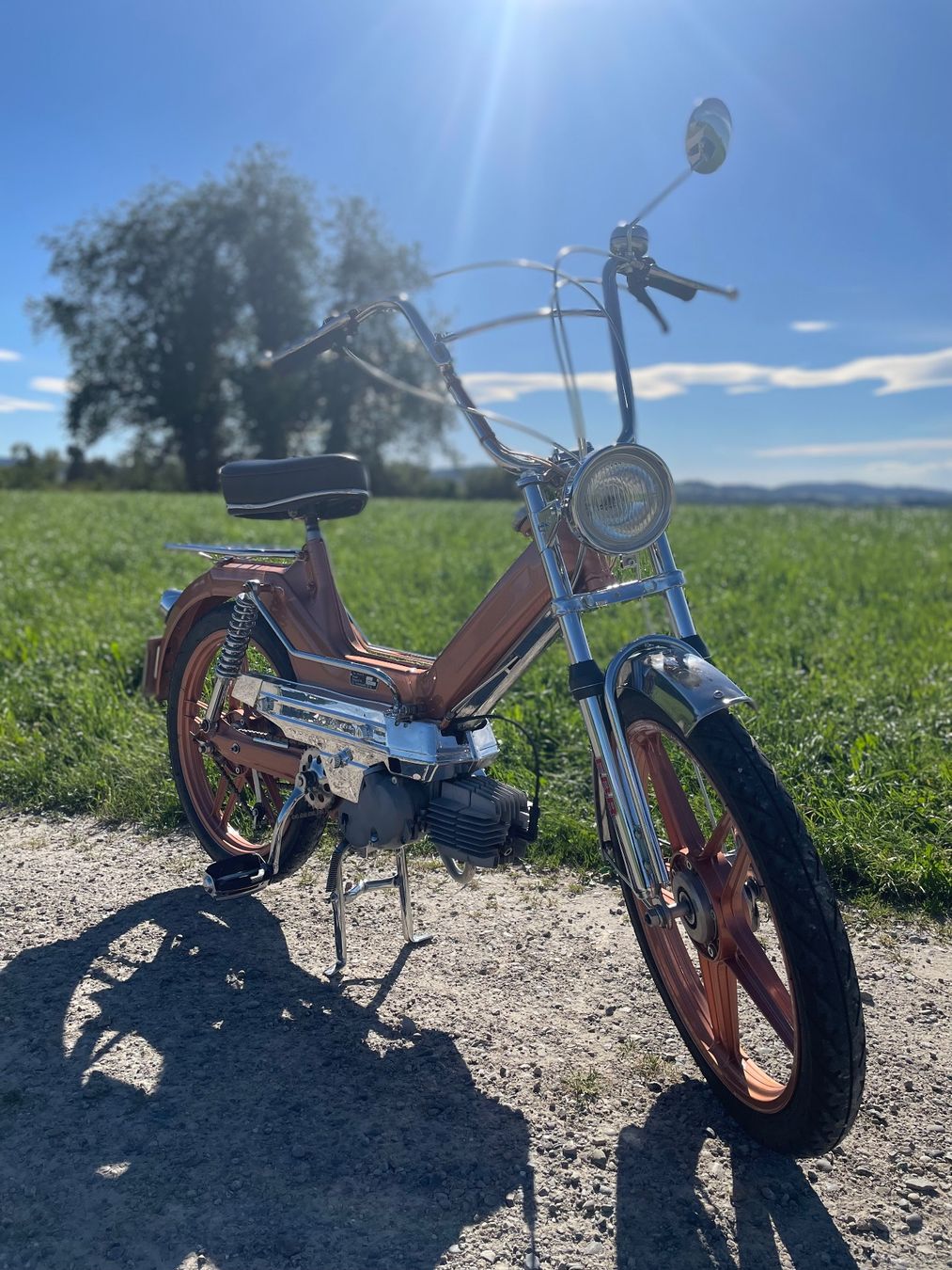 Puch Mofas: Puch Maxi S – Gebraucht aus Bronschhofen von vollmand 3