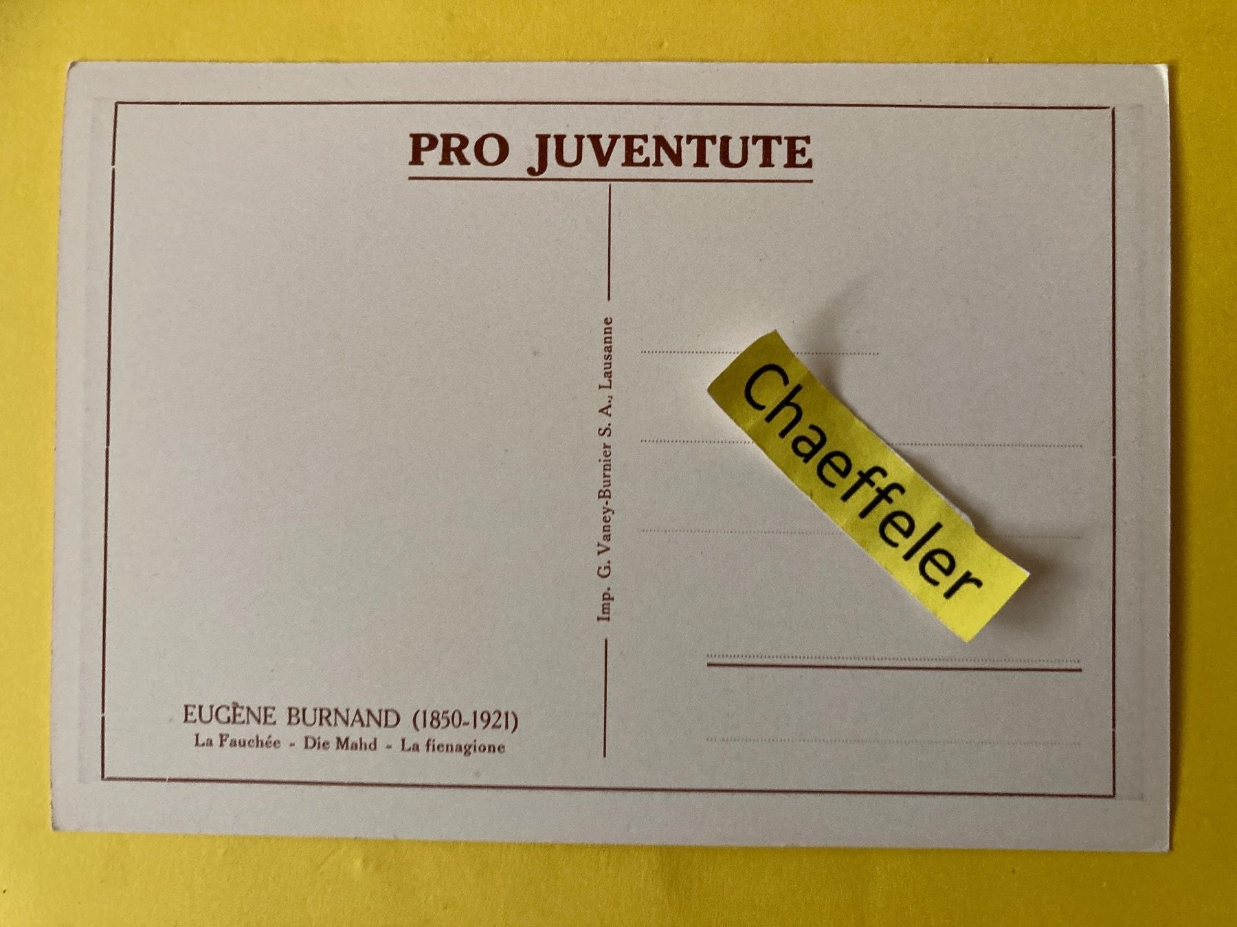 Cartoline postali: Pro Juventute  Eufène Burnand (1850-1921) – Usato da Zürich venduto da Chaeffeler 1