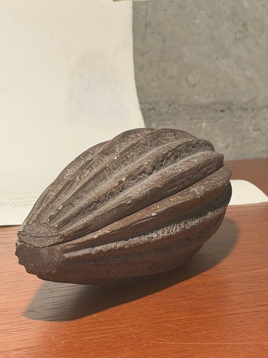 Tutte le decorazioni: Antique Rustic Wooden Dough Bowls - Primitive – Usato da Lausanne venduto da vas_mbk2