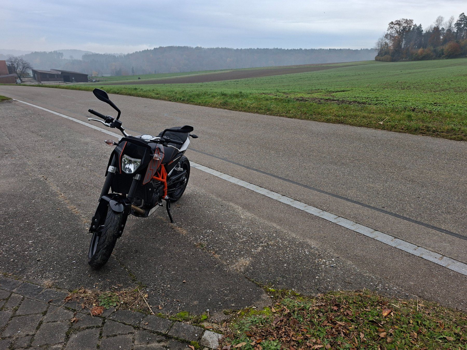 KTM Altro: KTM 690 Duke – Usato da Buch am Irchel venduto da bee_8wsl 6