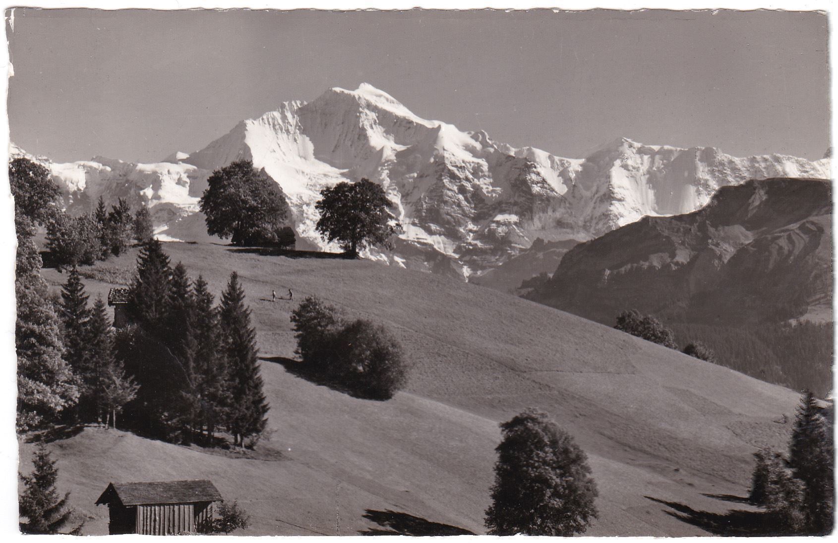 Cartoline postali: 1940,s/w AK,Sommerlandsch. b. Beatenberg – Usato da Wenslingen venduto da riger11