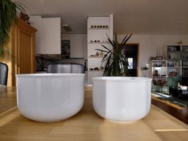 2 x Schüssel / Gratinform Hutschenreuther