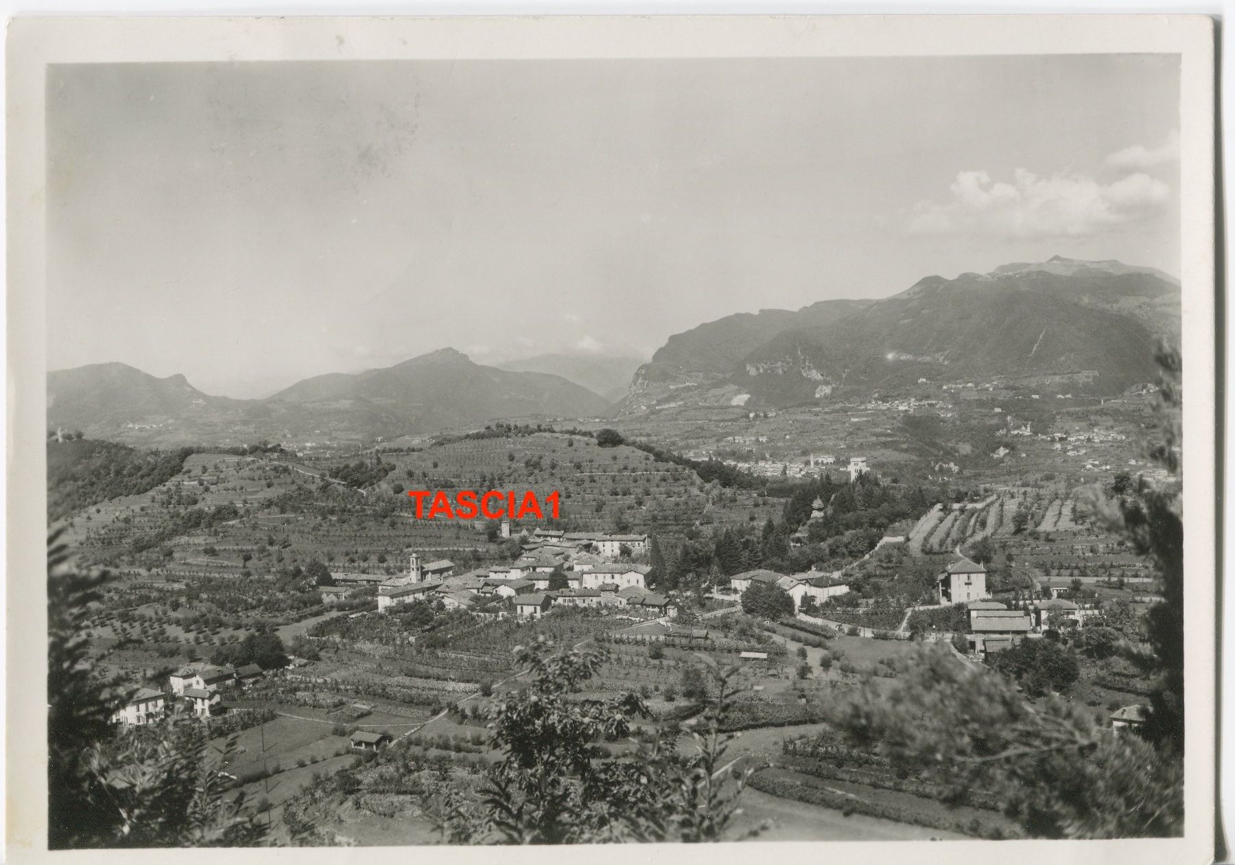 Cartoline postali: Pedrinate 1938 – Usato da coglio venduto da Tascia1