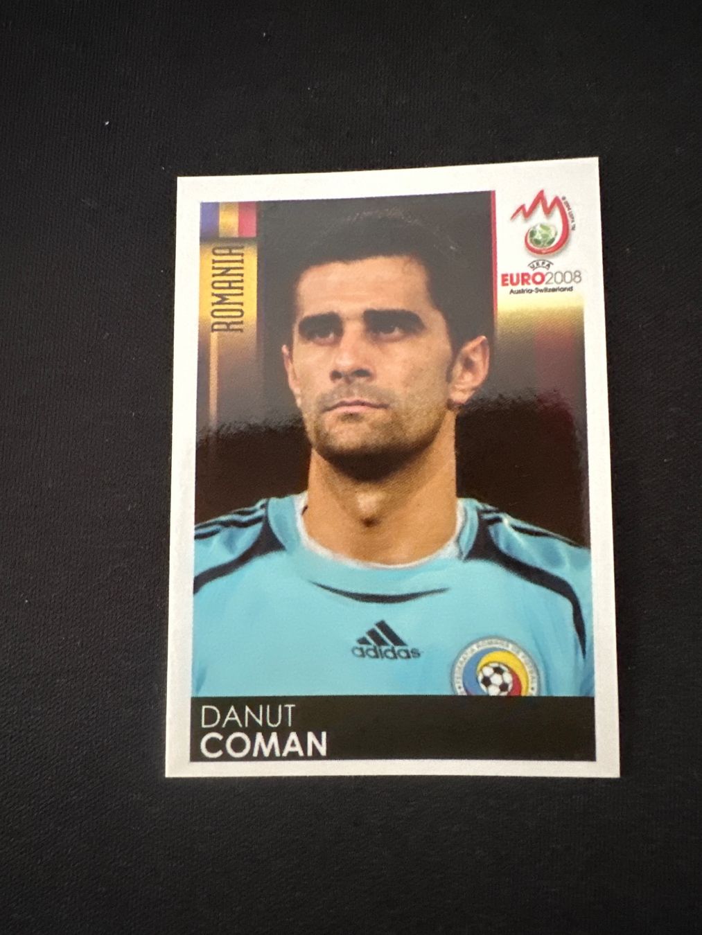 Panini Sammelbilder & Trading cards: Panini UEFA EM 2008 Sticker - Nr. 331 – Gebraucht aus Sulz AG von DealWerk