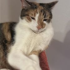 Profile image of Khder