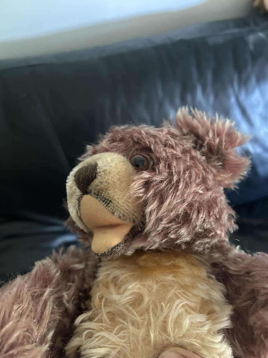 Steiff Giocattoli: Steiff Teddy Zotty – Usato da Bülach venduto da larson27 1