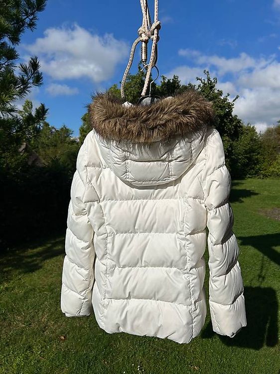 Jacken Tommy Hilfiger Daunenjacke 164 Tommy Hilfiger TOMMY