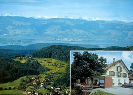 WALD ZH Bergrestaurant zum Lauf