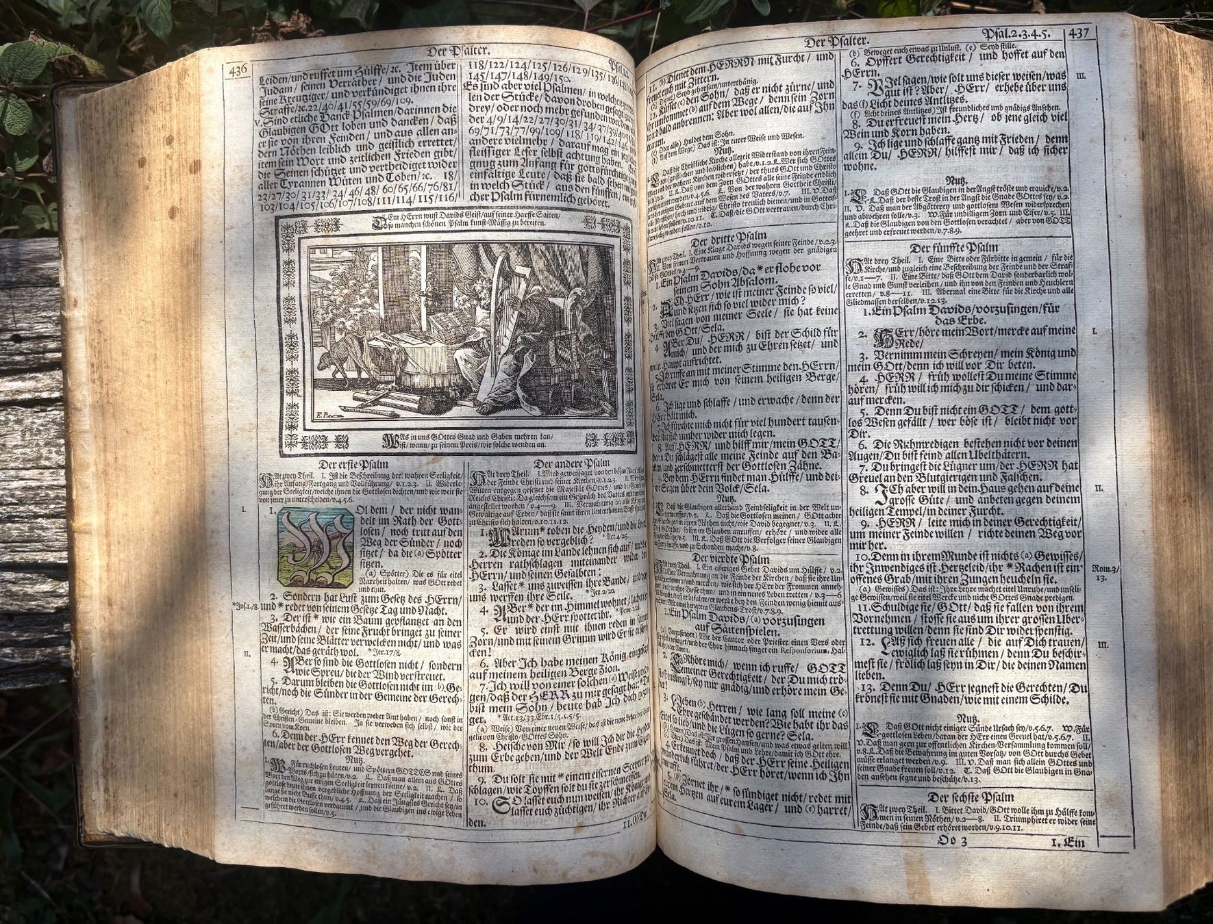 Bücher: Endterische Holzschnitt-Bibel – Gebraucht aus Stüsslingen von Ideur1 9