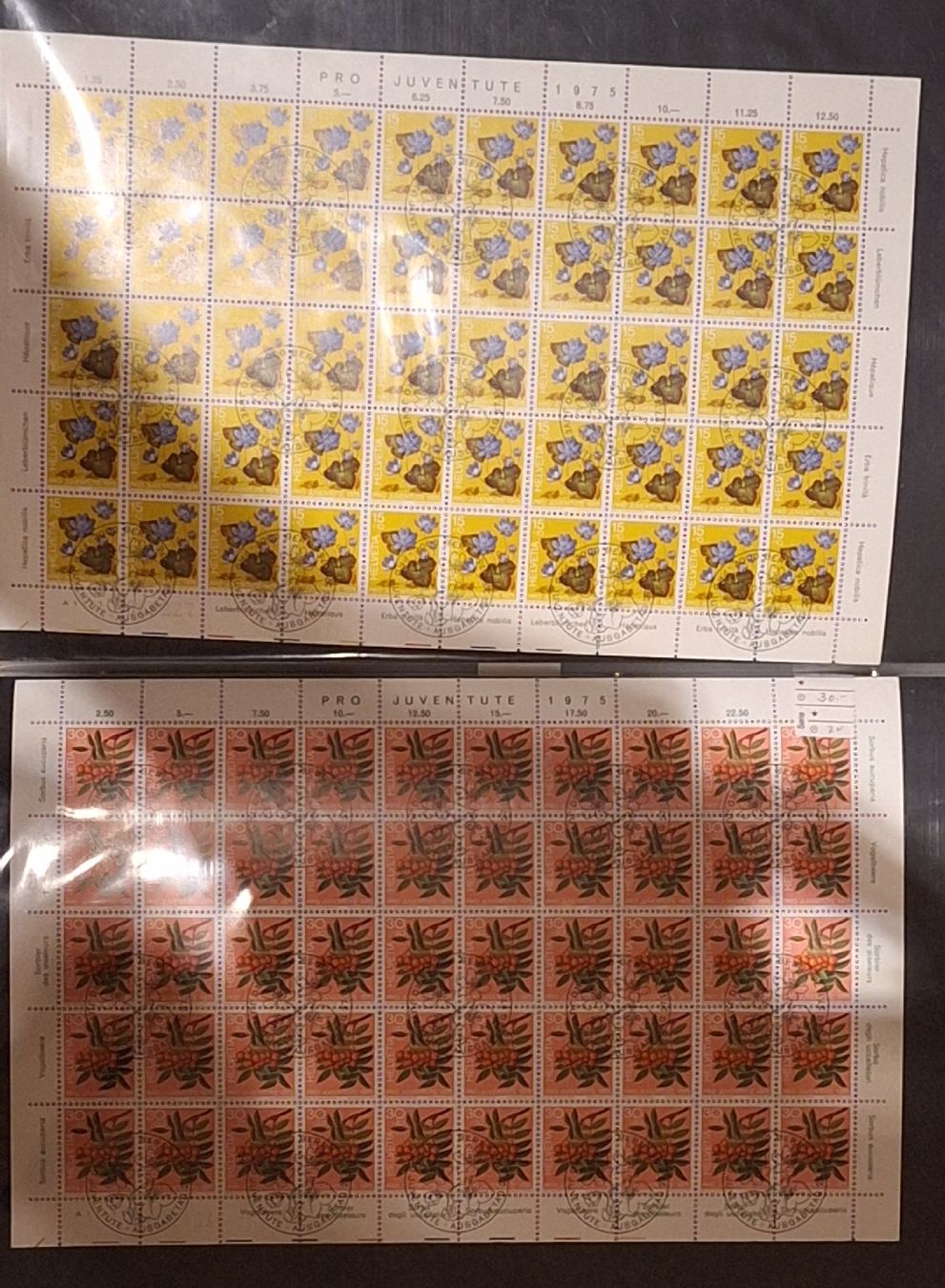 Alle Briefmarken: Pro Juventute 1975 Bogenserie  – Gebraucht aus Balgach von SIMEON27 1