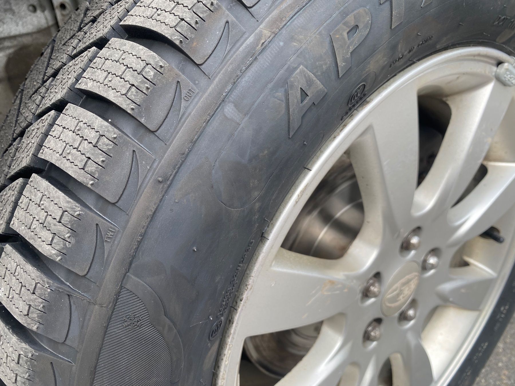 Subaru Automobili: Subaru Forester turbo MFK 6.26 – Usato da Matten b. Interl venduto da samoni9999 3