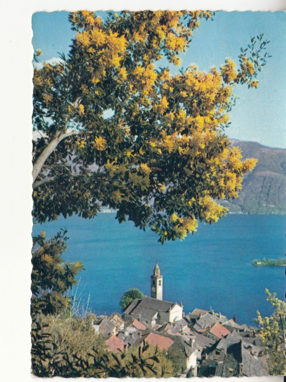 Cartes postales: Ronco 1956 – D'occasion à Bürglen TG par StampGraf