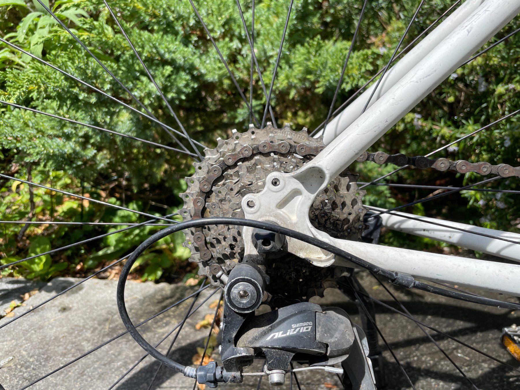 MTB Cycletech Biciclette: MTB Cycletech Andale 28 Man Magnesiumweiss Matt – Usato da Zürich venduto da lar_8z5c 4