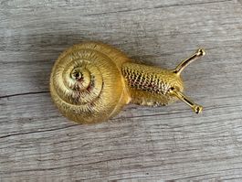 Schneck vergoldet