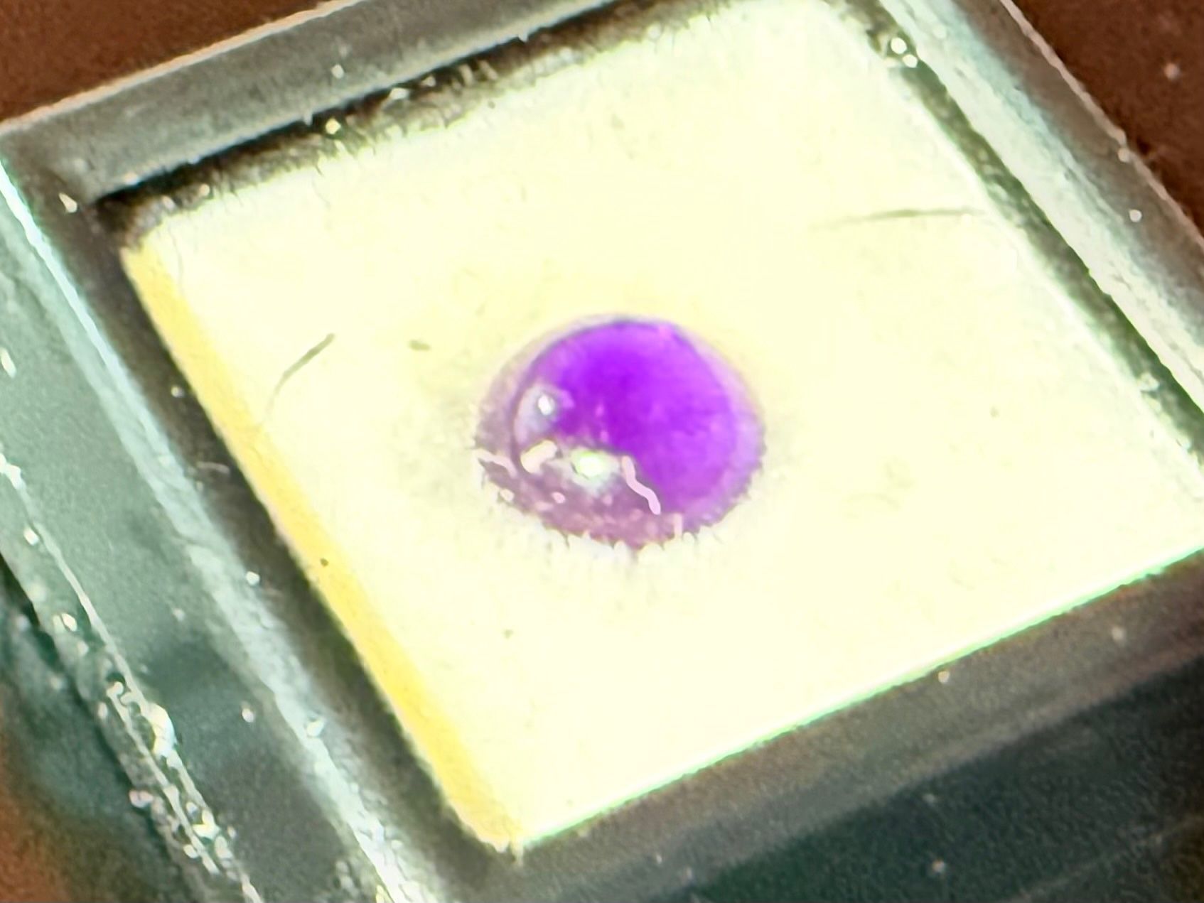 Pietre preziose: Wunderschöner Amethyst Cabochon, 1,88ct, A/HV/G – Usato da Zuerich venduto da SonderArt-Wertgut 3