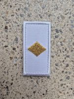 *** Gradabzeichen Fachoffizier Taz Soldat mit klett ***