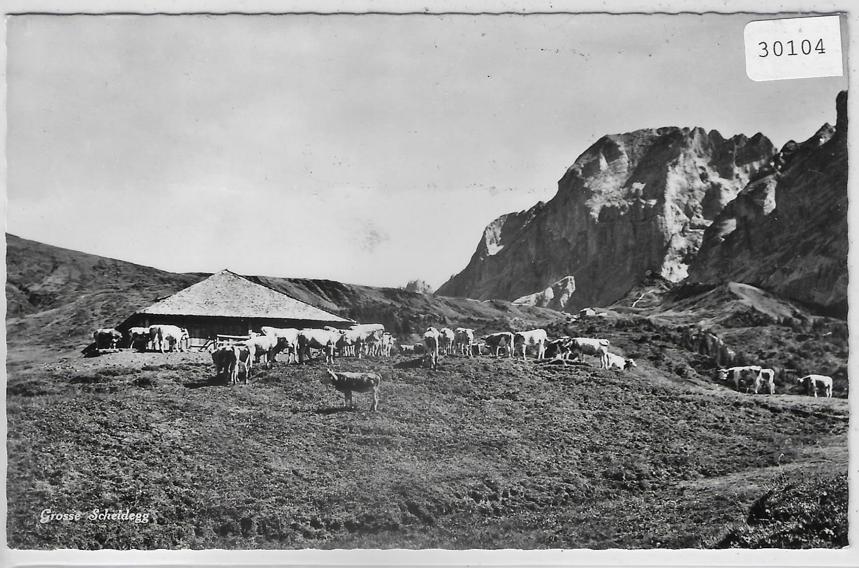 Cartes postales: Grosse Scheidegg - Grindelwald – D'occasion à Ettingen par Kartenplanet