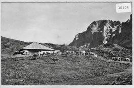 Grosse Scheidegg - Grindelwald