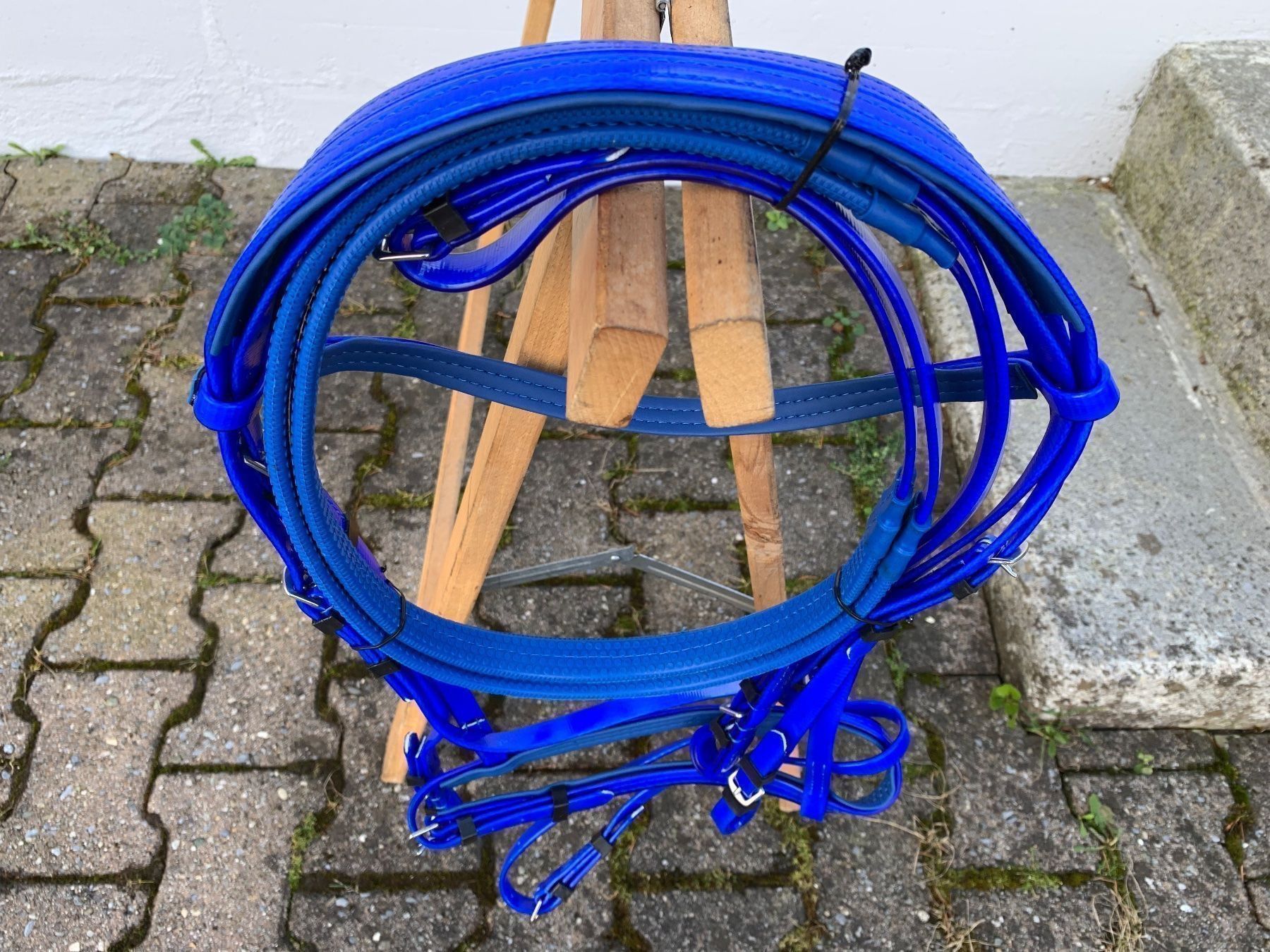 Selle & Accessori: schöner blauer Reitzaum – Usato da Feldbach venduto da Fea1 4