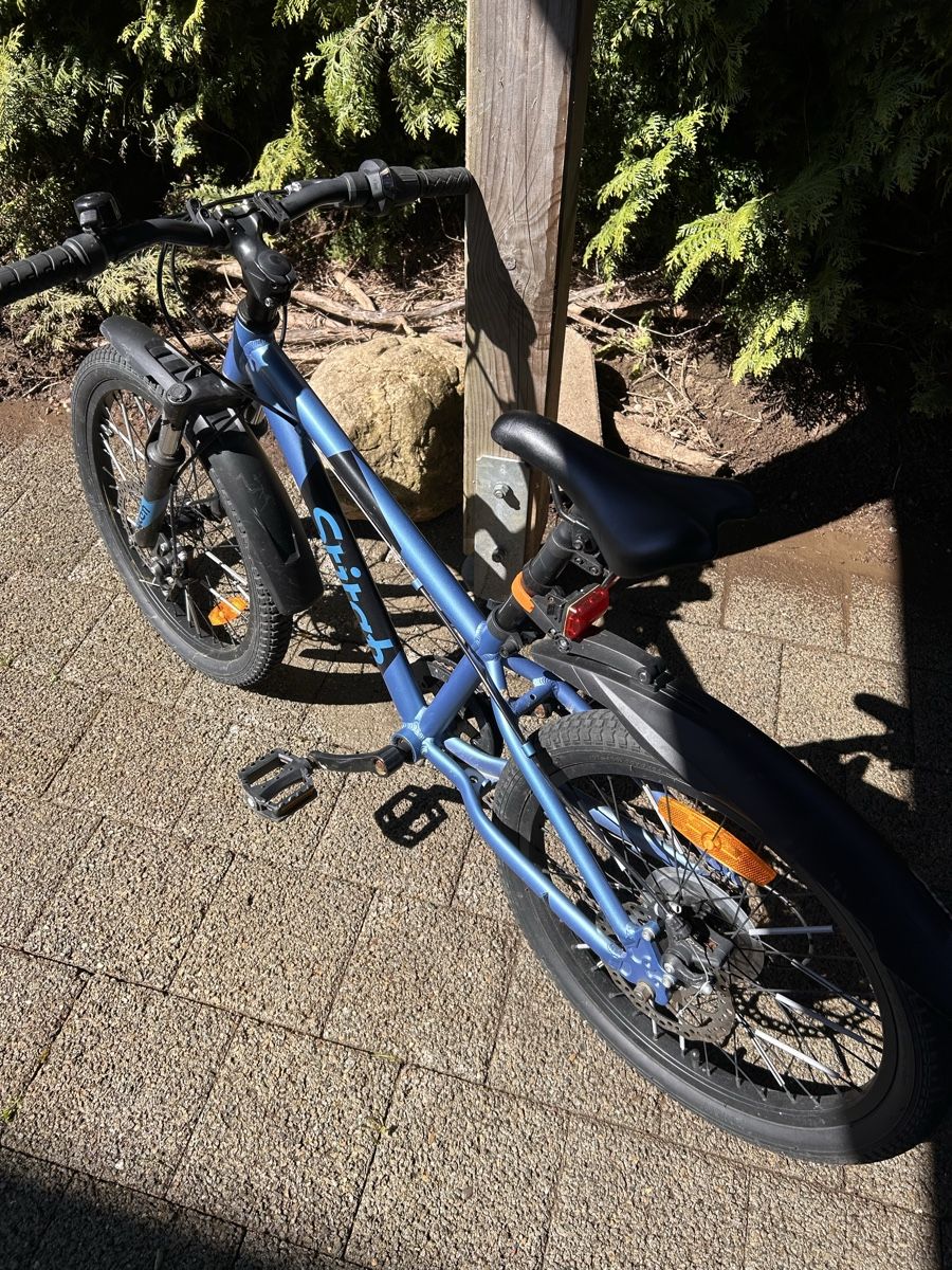 Velos: Neuwertiges Stitch Kindervelo, 20 Zoll – Gebraucht aus Niederbipp von inf_kp9g 1