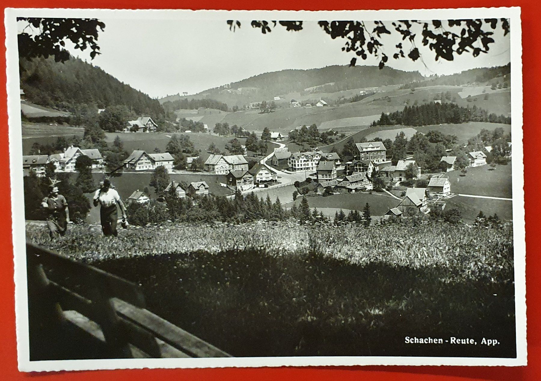 Cartoline postali: Schachen - Reute – Usato da Kreuzlingen venduto da Rschweiz1