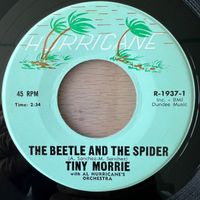Tiny Morrie - The Beetle And The Spider / 1. US-Press. 1968