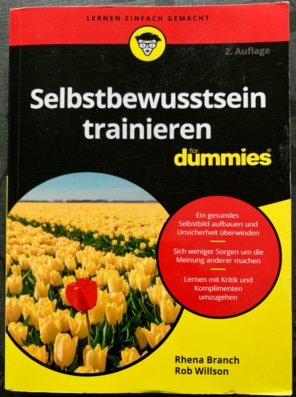 Libri: Selbstbewusstsein trainieren für dummies – Usato da Bremgarten b. Bern venduto da gutzi63