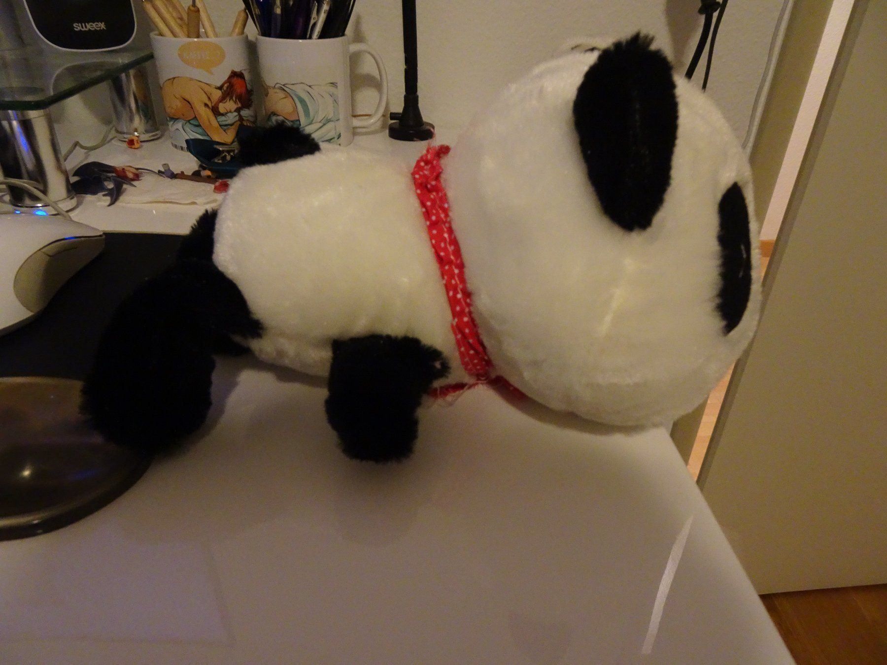 Giocattoli: Panda Plüschtier Kawaii – Usato da Bern venduto da Maronn 3