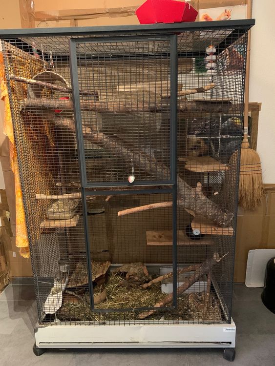 Grosser Chinchilla Käfig Kaufen auf Ricardo