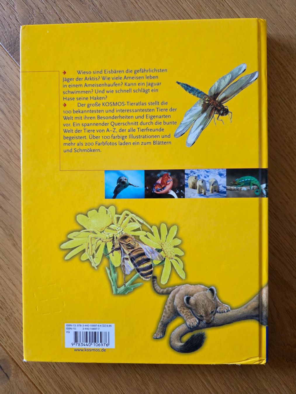 Libri: Buch "Mein Grosser Kosmos Tieratlas" – Usato da Richterswil venduto da adora88 1