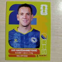 Amir HADZIAMETOVIC, BIH 8, Panini WM 2026
