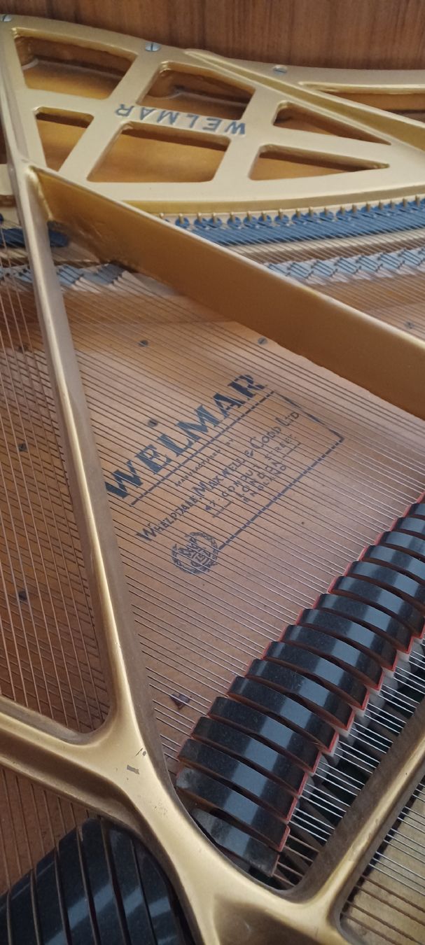 Strumenti musicali: Flügel(klein) – Usato da Biel-Benken BL venduto da Live010 2
