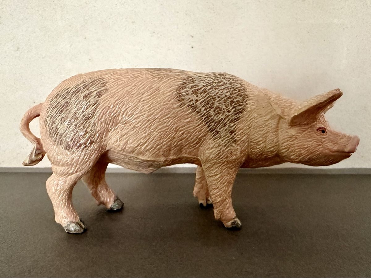 Statuette: Eber aus Kunststoff – Usato da Oberhasli venduto da anzis